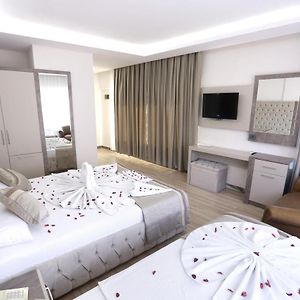 Large Single Room